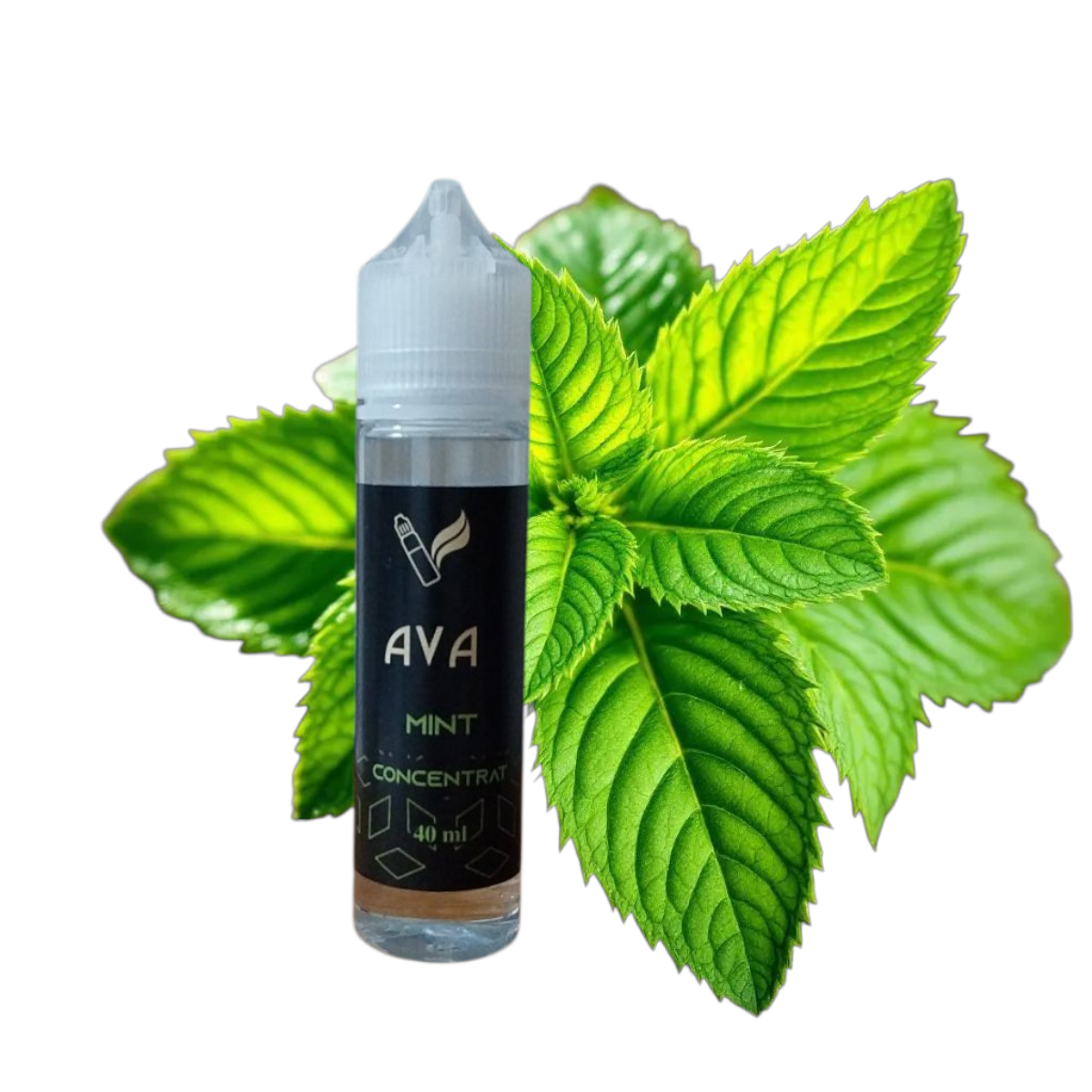 aroma mentolata intensa i tonuri vegetale delicate, prospetime intensa si persistenta